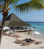 The beach